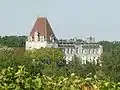 Château de Bourg-Charente.