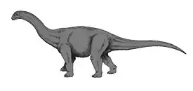 Piirros Cetiosauruksesta