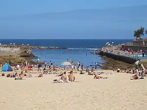 Clovelly Beach