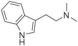 Dimetyylitryptamiini