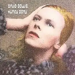 Studioalbumin Hunky Dory kansikuva