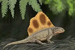 Dimetrodon loomisi