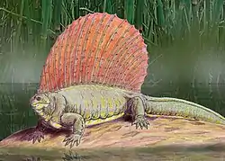 Edaphosaurus boanerges