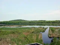 Great Meadows -⁠luonnonsuojelualue