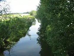 Köyliönjoen alajuoksua Köylypolven luona Kiukaisissa.