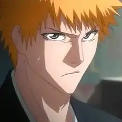 Ichigo Kurosaki animessa