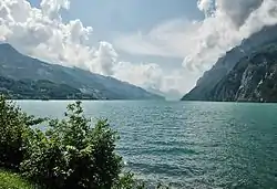 Walensee on kapea järvi vuorten välissä.