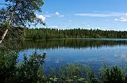 Lappisenjärvi kesällä 2021.