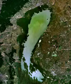 Neusiedler satelliittikuvassa