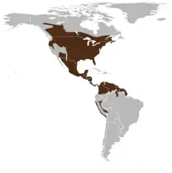 Valkohäntäpeuran luontainen levinneisyys Amerikan mantereella