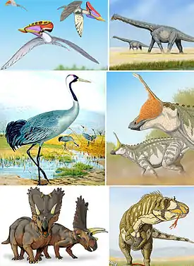 Kuusi eri Avemetatarsalia-kladin lajia: Tupuxuara (lentolisko), Alamosaurus (sauropodi), Grus grus (nykyinen lintu), Tsintaosaurus (ornitopodi), Pentaceratops (sarvinaama) ja Daspletosaurus (tyrannosauri).