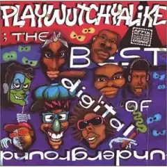 Kokoelmalevyn Playwutchyalike: The Best of Digital Underground kansikuva