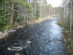 Potkunjokea Henttulan sillalta alavirtaan toukokuussa 2008.