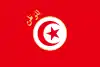 Tunisian  presidentin lippu