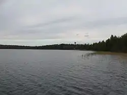 Järven pohjoisrantaa koulukeskuksen kohdalla