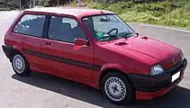 Rover Metro