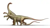 Saltasaurus