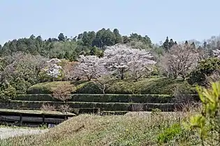 Ōkarikomi-pengerryksiä