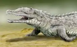 Smilosuchus phytosauri