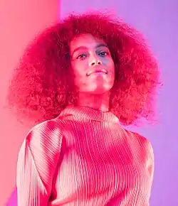 Solange Knowles vuonna 2017.