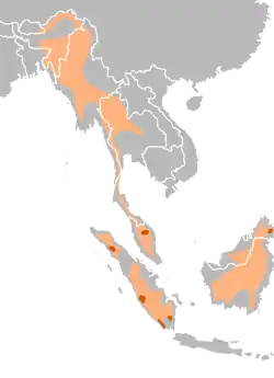 Sumatransarvikuonon levinneisyys. Alkuperäinen elinalue oranssilla, nykyinen punaisella.