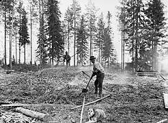 Tervahauta Tikkalan kylässä.Pihtipudas, 1910.