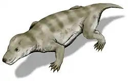 Thrinaxodon liorhinusin rekonstruktio