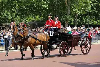 Trooping the Colour -paraati Mallilla.