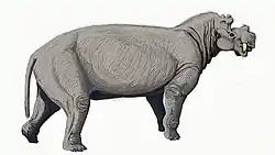 Uintatherium