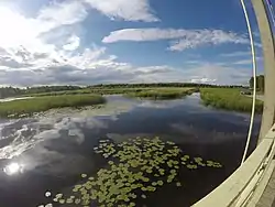 Joenniska Tamula järven pohjoispäässä Roosisaaren sillalta näntynä.