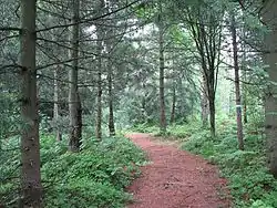 Helsinki, Viikin Arboretumin Siperiaa esittävä alue