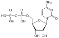 Cytidindiphosphat(CDP)