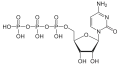 Cytidintriphosphat(CTP)