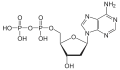 Desoxyadenosin-diphosphat(dADP)