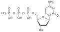 Desoxycytidin-triphosphat(dCTP)