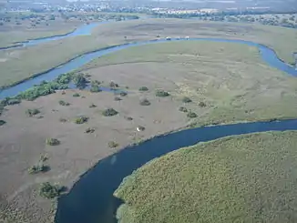 Uun't Okavangodelta