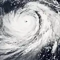 Taifuun Nabi, 2005