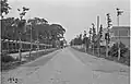 1929; Links de saneamde 'parkstekken' as ôfskieding fan park Heremastate.