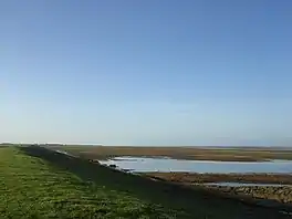 De Peazumerlannen fan de seedyk ôf sjoen