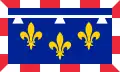 Flag fan de regio Sintre-Loirefallei