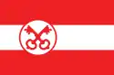 Flagge fan de gemeente Leien