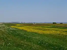 Huitebuersterbûtenpolder