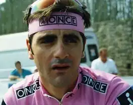 Laurent Jalabert (1993)