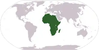 Afrika