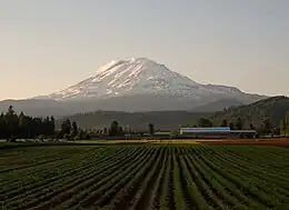 Mount Adams sjoen út Trout Lake wei