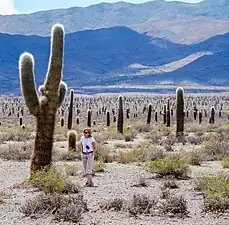 N.P. Los Cardones (Argentynje)