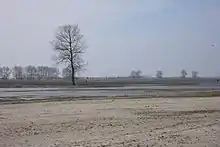 Natuerûntjouwing op Tiengemeten.