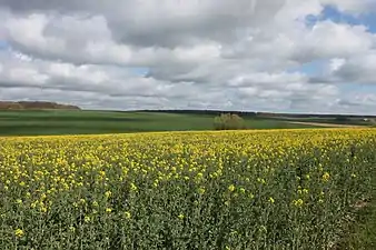 Lânskip yn de Beauce