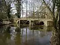 Pont gaulois de Sainte-Catherine