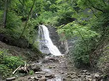 Mittlerer Schliifèbach-Fall bi Blummbärg